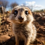 Photo of an adorable and mischievous meerkat. Generative AI