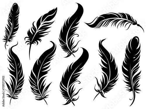 Set of detailed majestic feather collection. Bird Feather black silhouettes. Plumelet collection. Vector isolated on white