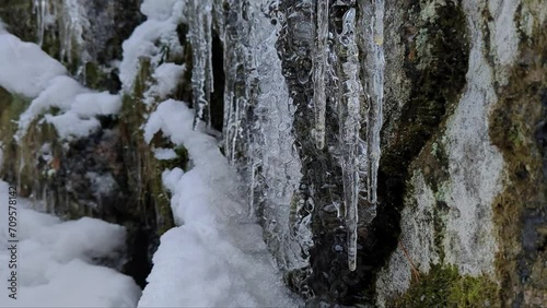 Wallpaper Mural Frozen icicles melting, water drops in winter, ice melting, tracking shot Torontodigital.ca