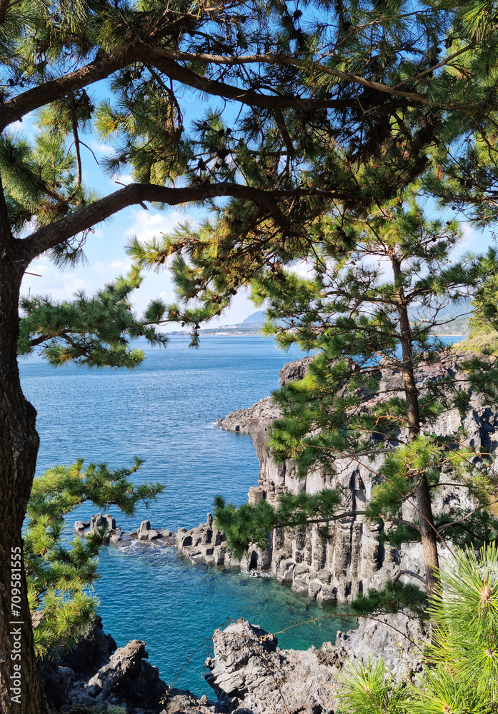 The scenery of columnar joints seen between the trees.
The scenery of columnar joints seen between the trees.