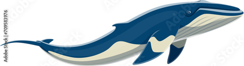 Humpback whale animal character. Isolated cartoon vector huge marine mammal with humpbacked dorsal fin and melodic songs. Inhabits oceans, with impressive size and graceful underwater acrobatics