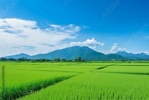 Scenic rice paddy field with lush greenery under clear blue sky and mountains in rural Thailand. Generative AI