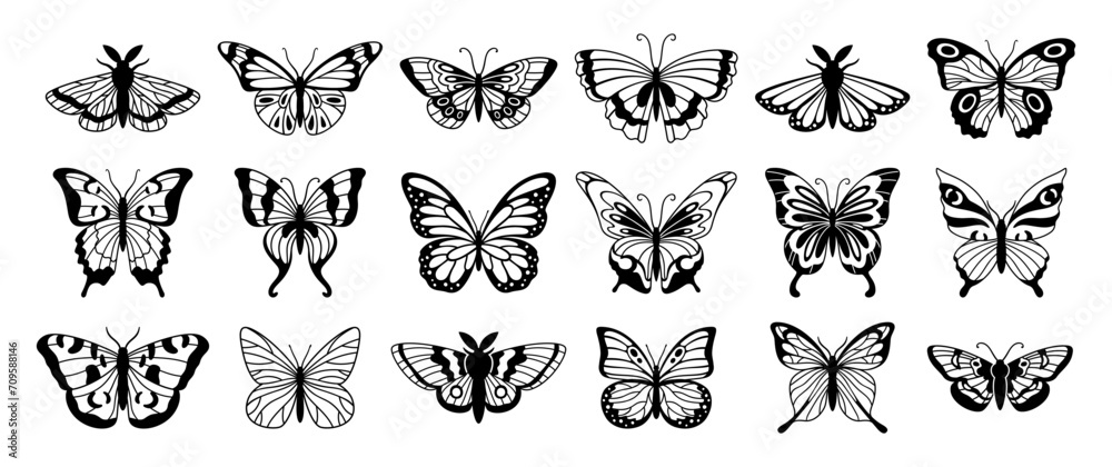 Butterfly silhouettes. Cute spring insects with openwork wings, flying butterfly. Winged insect, various detail beautiful moth decorative wildlife elements. Vector set
