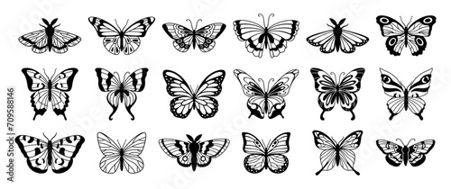 Butterfly silhouettes. Cute spring insects with openwork wings, flying butterfly. Winged insect, various detail beautiful moth decorative wildlife elements. Vector set