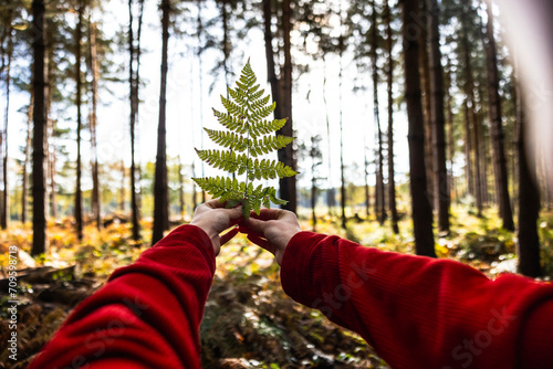 Woman holding fern leaf in Cannock chase forest