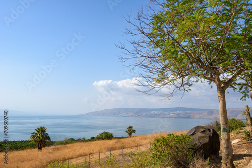 Bild auf Leinwand The Church of Beatitudes, Mount of Beatitudes, Israel