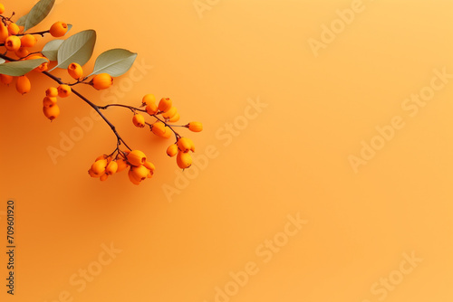 Orange sea buckthorn berries on yellow background. Banner. Place for text. photo