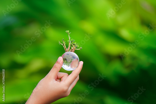 Hand of human holding Crystal globe ball with tree for ESG, co2, and net zero. World sustainable environment concept.