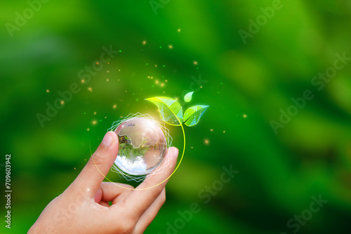 Net zero and carbon neutral concept. Net zero greenhouse gas emissions target. Climate neutral long term strategy. No toxic gases. Earth glass globe ball and tree icon in hand saving the environment,