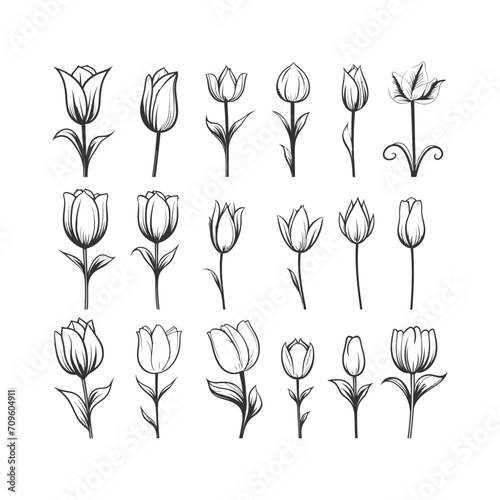 Tulip flower icon set. Vector illustration design.