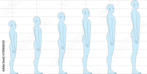 横から見た人間の身長バランス。 6.5頭身7頭身8頭身9頭身の 男性体形のイラスト