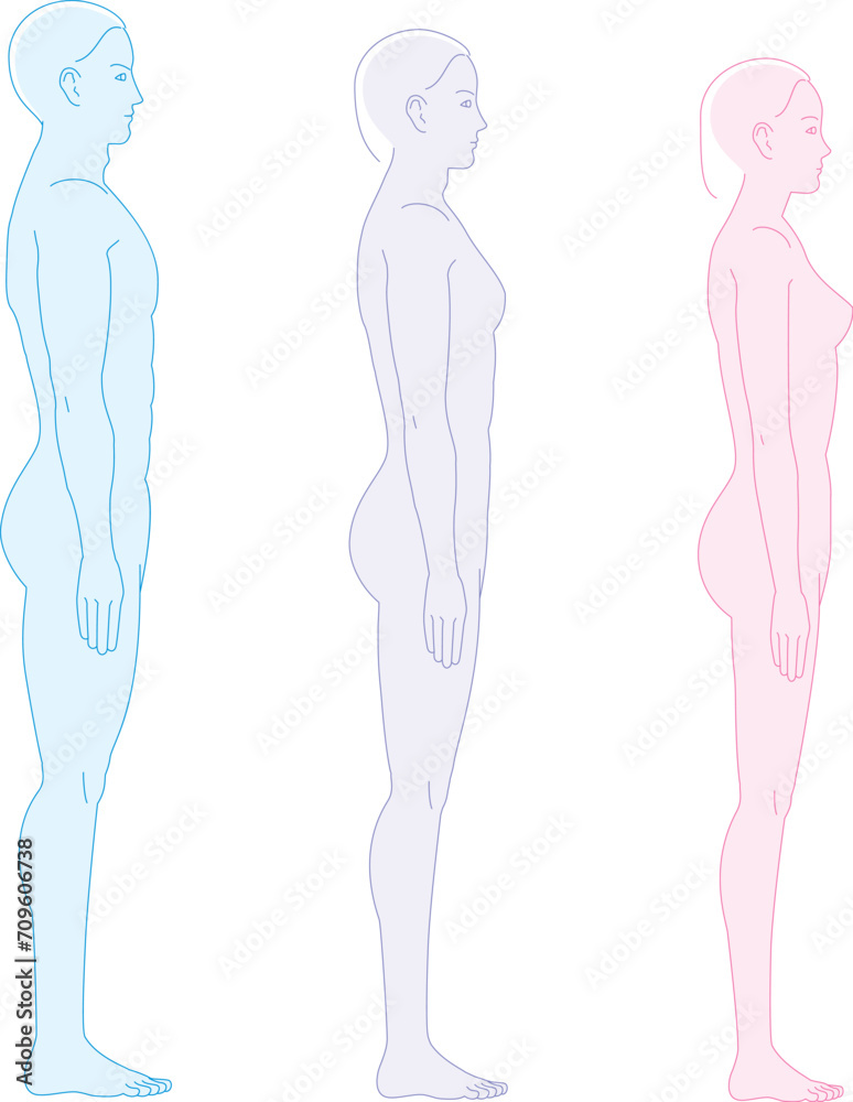 横から見た人間。 男性女性ジェンダーレス体形のイラスト 横から見た人間。 男性女性ジェンダーレス体形のイラスト