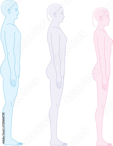 横から見た人間。 男性女性ジェンダーレス体形のイラスト