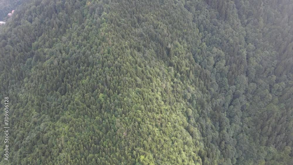 Mountain landscape with dense forests, green and cloudy drone view Mountain landscape with dense forests, green and cloudy drone view