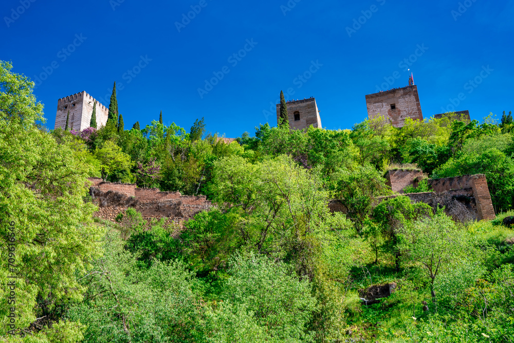 Ancient buildings of Granada surrounded by vegetation, Andalusia