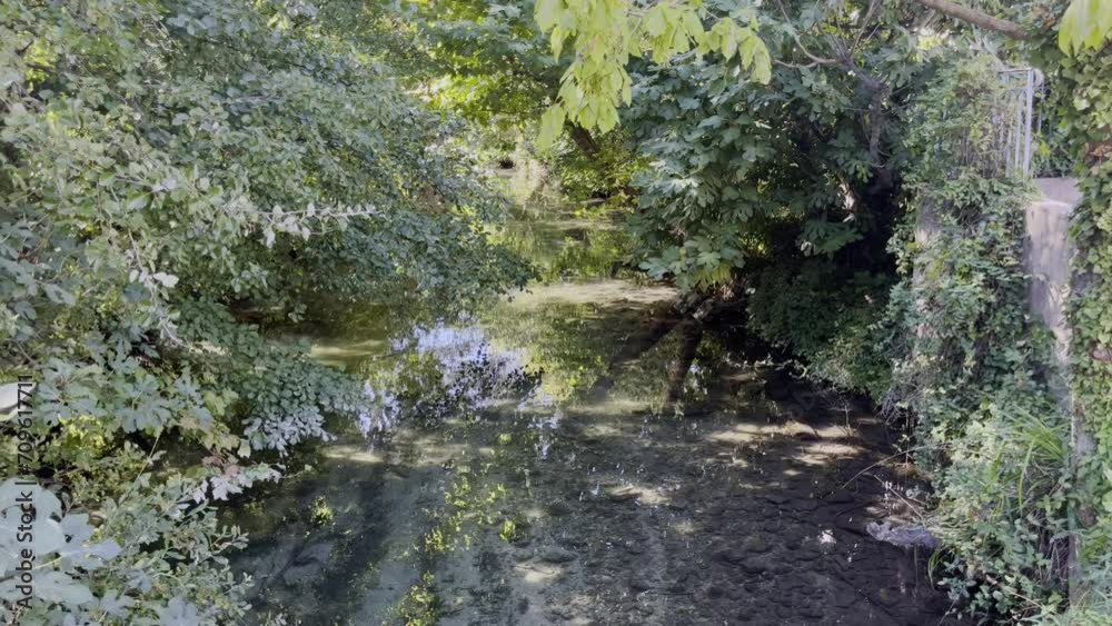 Small shallow river in a forest with the sun shimmering through the leaves of the trees Small shallow river in a forest with the sun shimmering through the leaves of the trees