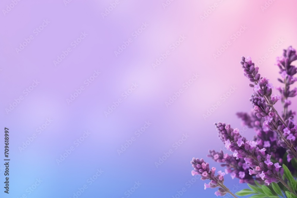  a close up of a bunch of lavender flowers on a blurry background with a blurry sky in the background.