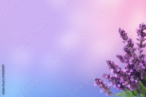  a close up of a bunch of lavender flowers on a blurry background with a blurry sky in the background.