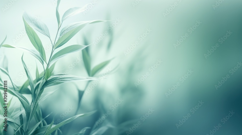  a blurry photo of a green plant with leaves on it's stem, with a blurry background.