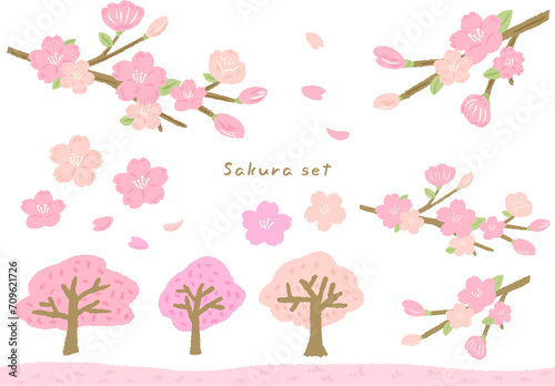 Cute simple hand drawn illustration set with cherry blossoms and cherry blossom trees and petals, textured / 桜と桜の木と花びら、テクスチャのあるかわいいシンプルな手描きイラストセット photo