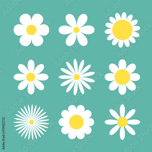 Daisy Camomile big set. Nine white chamomile icon. Cute round flower plant collection. Different shape. Love card symbol. Growing concept. Flat design. Isolated. Green background.