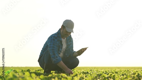 Agriculture. farmer works digital tablet field. technology growing healthy food. innovation fresh harvest eco. farm green plants. healthy growing farming business. ecological growth seedlings field