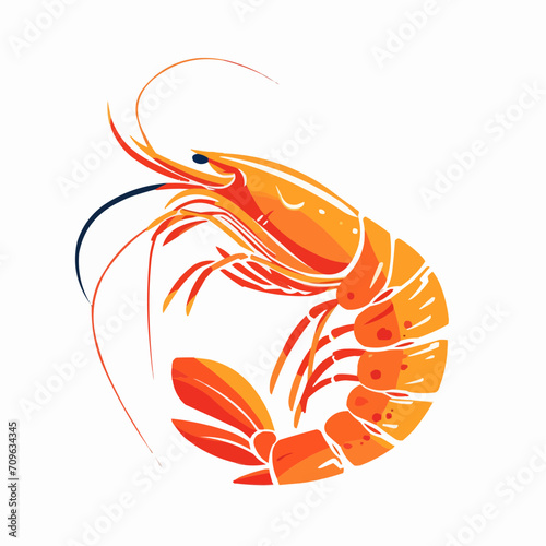 illustration of a shrimp