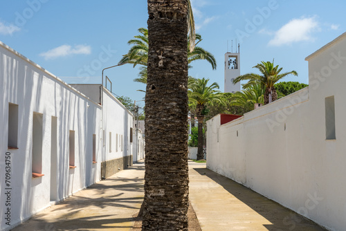 POBLE NOU DEL DELTA, SPAIN - JULY 01, 2021: Street of the fishers village of Poble Nou del Delta with its typical white houses. Delta del Ebro, Tarragona, Spain.