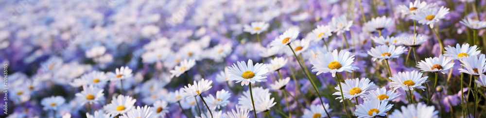 A beautiful field of daisies and white, in the style of violet and gold, vray, wimmelbilder, rectangular fields, wollensak 127mm f/4.7 ektar, white and azure, birds-eye-view
A beautiful field of daisies and white, in the style of violet and gold, vray, wimmelbilder, rectangular fields, wollensak 127mm f/4.7 ektar, white and azure, birds-eye-view