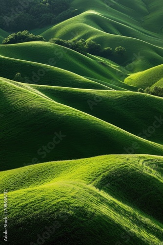A peaceful green field with rolling hills and trees in the distance. Perfect for nature-themed projects and landscapes