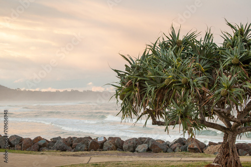 Fototapeta Naklejka Na Ścianę i Meble -  Crescent Head Beach