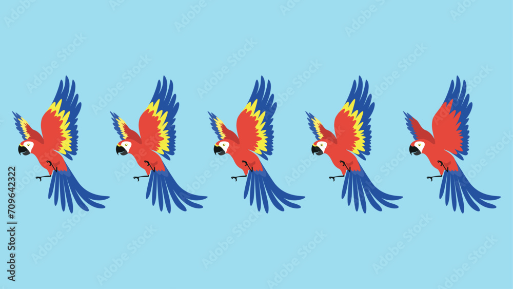 Set of macaw parrots isolated on blue background. Vector illustration