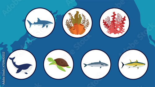 Sea life icons set. Vector illustration of ocean life icons for web design