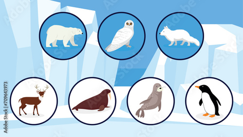 Vector illustration of polar bear, penguin, antarctic animal, penguin.