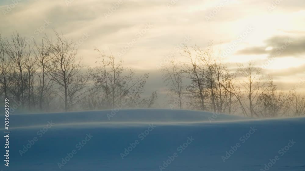 A blizzard and strong gusts of wind blow away the snow. Dangerous winter weather, the threat of frostbite. The concept of security. A blizzard and strong gusts of wind blow away the snow. Dangerous winter weather, the threat of frostbite. The concept of security.