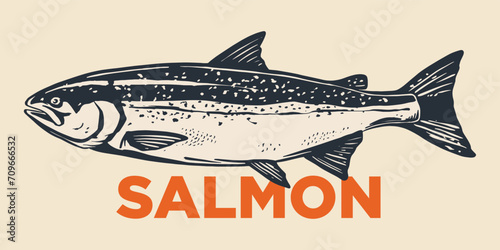 Salmon fish retro line ink sketch. Hand drawn vector illustration of fish isolated.