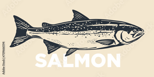 Salmon fish retro line ink sketch. Hand drawn vector illustration of fish isolated.
