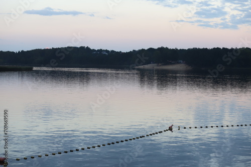 Cedzyna zalew świętokrzyskie photo