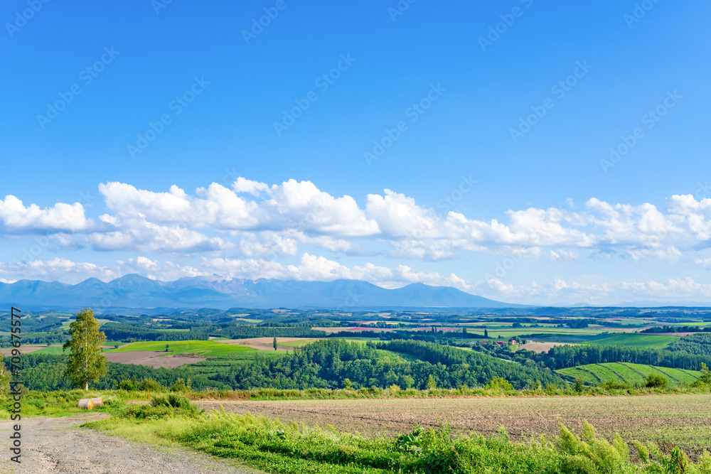 夏の北海道美瑛・富良野 広大な田園風景 夏の北海道美瑛・富良野 広大な田園風景