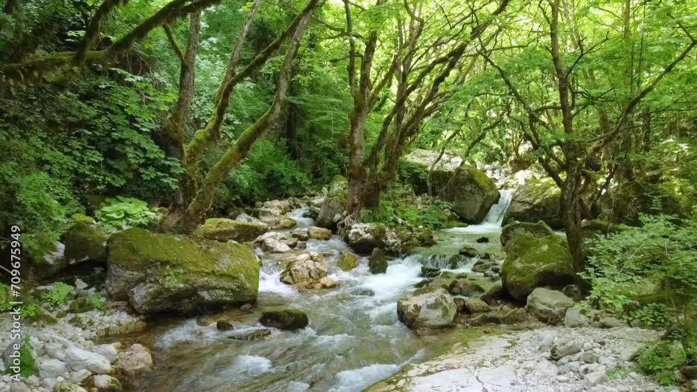 The sun casts a magical glow on the river, surrounded by green forest trees and lush greenery, creating an enchanting natural scene. The sun casts a magical glow on the river, surrounded by green forest trees and lush greenery, creating an enchanting natural scene.
