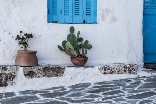succulent and cactus plants in brown clay natural pots outdoors , coastal mediterranean greek style house exterior, rustic whirewashed wall, blue painted wooden window