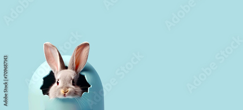 Easter white bunny with protruding ears peeks out of egg with cracked blue shell. Banner with copy space for text
