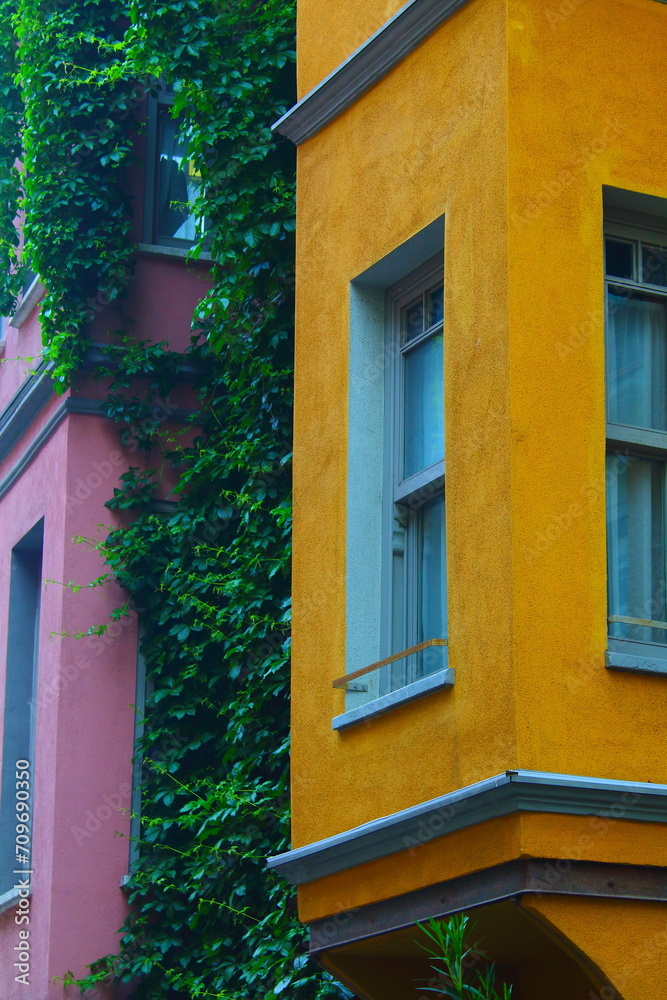 colorful houses