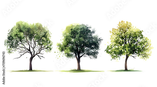 Three vertical of illustration watercolor style image frame sequence that show tree. Three different trees.