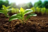 Enhancing Soil Health Naturally