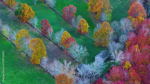 Aerial view from a drone of the autumn landscape of meadows, pasiegas cabins and deciduous forest in the area of Espinosa de los Monteros. Pasiegos Valleys. Burgos. Castile and Leon. Spain. Europe photo