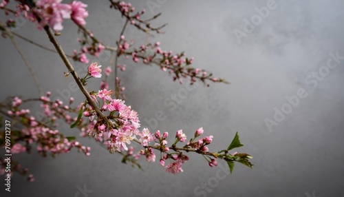 small pink blooms on branches against a grey background illustration