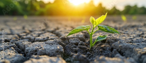 Transitioning From Drought To Green Growth Amidst The Effects Of Climate Change. Сoncept Transitioning To Renewable Energy, Water Conservation Strategies, Sustainable Agriculture Practices