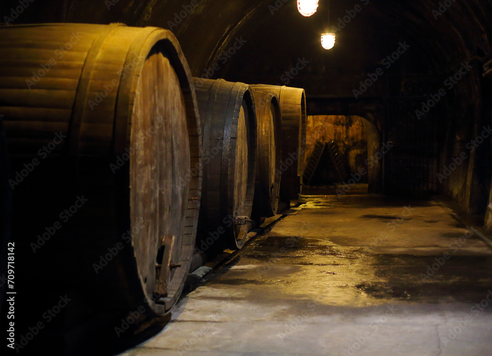 Old big oak barrels in winery cellar