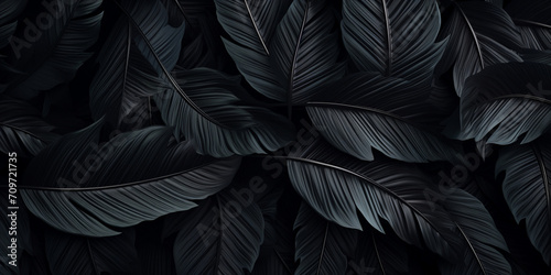 black feathers background,Close up of black feathers for background ,,,, feathers texture background © Johnm